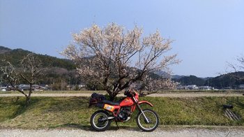 003-bike.jpg