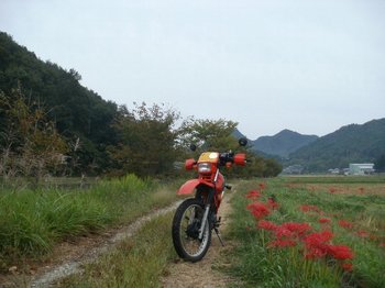 01-bike.jpg