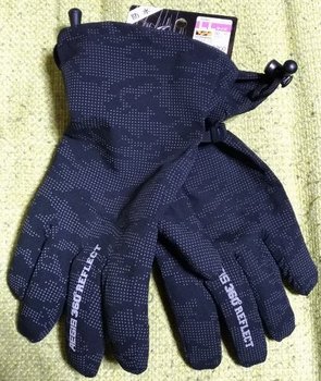 11-glove.jpg