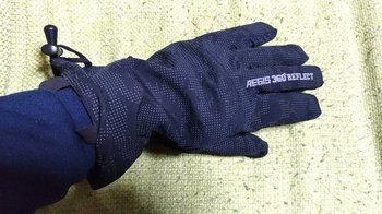 12-glove.jpg