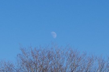 14-moon.jpg